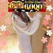 ヒメ日記 2025/03/20 13:28 投稿 みすず 横浜人妻花壇本店