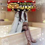 ヒメ日記 2025/03/20 20:46 投稿 みすず 横浜人妻花壇本店