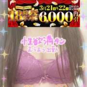 ヒメ日記 2025/03/22 09:14 投稿 みすず 横浜人妻花壇本店