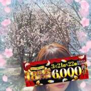 ヒメ日記 2025/03/22 14:20 投稿 みすず 横浜人妻花壇本店