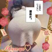 ヒメ日記 2025/04/03 23:38 投稿 みすず 横浜人妻花壇本店