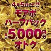 ヒメ日記 2025/04/05 12:45 投稿 みすず 横浜人妻花壇本店