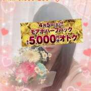 ヒメ日記 2025/04/05 17:16 投稿 みすず 横浜人妻花壇本店