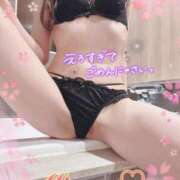 ヒメ日記 2025/04/12 09:05 投稿 みすず 横浜人妻花壇本店