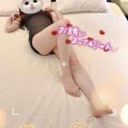 ヒメ日記 2025/05/18 09:25 投稿 みすず 横浜人妻花壇本店