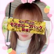 ヒメ日記 2025/06/05 09:31 投稿 みすず 横浜人妻花壇本店