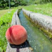 ヒメ日記 2025/07/27 12:16 投稿 みすず 横浜人妻花壇本店