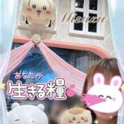 ヒメ日記 2025/08/16 00:04 投稿 みすず 横浜人妻花壇本店