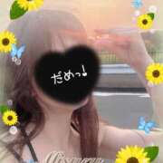 ヒメ日記 2025/08/22 18:43 投稿 みすず 横浜人妻花壇本店