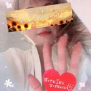 ヒメ日記 2025/09/06 07:53 投稿 みすず 横浜人妻花壇本店