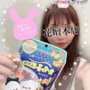 ヒメ日記 2025/09/16 23:59 投稿 みすず 横浜人妻花壇本店