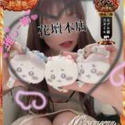 ヒメ日記 2025/10/03 13:52 投稿 みすず 横浜人妻花壇本店