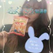 ヒメ日記 2025/10/24 14:43 投稿 みすず 横浜人妻花壇本店