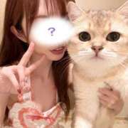 ヒメ日記 2025/11/08 12:10 投稿 みすず 横浜人妻花壇本店