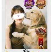 ヒメ日記 2025/11/14 12:53 投稿 みすず 横浜人妻花壇本店