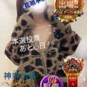 ヒメ日記 2025/11/19 09:22 投稿 みすず 横浜人妻花壇本店