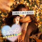 ヒメ日記 2025/11/21 09:27 投稿 みすず 横浜人妻花壇本店