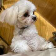 ヒメ日記 2025/04/29 15:30 投稿 杏里 モアグループ西川口人妻城