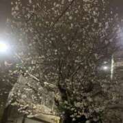 ヒメ日記 2025/03/30 00:08 投稿 ひなた ぽちゃ巨乳専門　新大久保・新宿歌舞伎町ちゃんこ