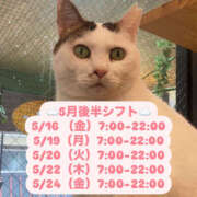 ヒメ日記 2025/05/14 15:38 投稿 うるう クラブハート