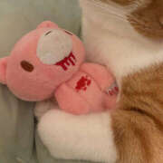 ヒメ日記 2025/11/13 06:48 投稿 うるう クラブハート