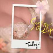 ヒメ日記 2025/04/11 09:57 投稿 神木　りさ 東京ローズマリー