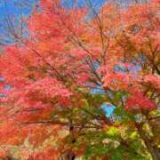 ヒメ日記 2025/12/08 09:57 投稿 神木　りさ 東京ローズマリー