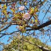 ヒメ日記 2026/02/23 20:51 投稿 高瀬　はんな ホットポイントヴィラ