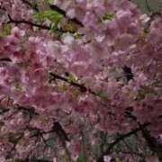 ヒメ日記 2026/03/03 19:03 投稿 高瀬　はんな ホットポイントヴィラ