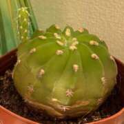 ヒメ日記 2025/02/28 18:07 投稿 アクア 奴隷コレクション