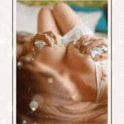 ヒメ日記 2025/07/23 09:54 投稿 神木 ローズマリー大塚