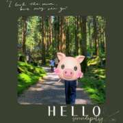 ヒメ日記 2025/08/12 10:54 投稿 神木 ローズマリー大塚