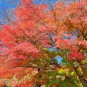 ヒメ日記 2025/12/08 10:04 投稿 神木 ローズマリー大塚