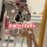 ヒメ日記 2025/11/01 19:50 投稿 みい ドッチパイモミ 越谷店