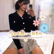 ヒメ日記 2025/11/05 08:20 投稿 みい ドッチパイモミ 越谷店