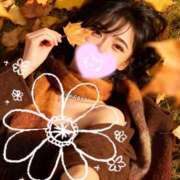 ヒメ日記 2025/11/24 07:50 投稿 みい ドッチパイモミ 越谷店