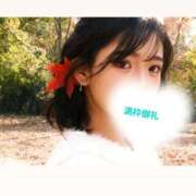 ヒメ日記 2025/11/29 12:31 投稿 みい ドッチパイモミ 越谷店