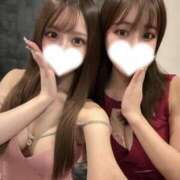 ヒメ日記 2025/02/20 01:05 投稿 りり コルドンブルー