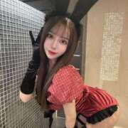 ヒメ日記 2025/03/15 13:35 投稿 りり コルドンブルー