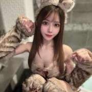 ヒメ日記 2025/04/07 20:45 投稿 りり コルドンブルー