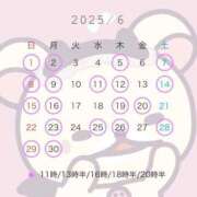 ヒメ日記 2025/04/13 13:26 投稿 りり コルドンブルー