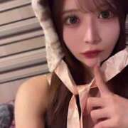 ヒメ日記 2025/04/28 14:25 投稿 りり コルドンブルー