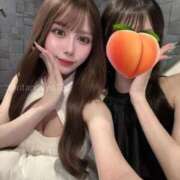 ヒメ日記 2025/07/25 22:35 投稿 りり コルドンブルー