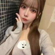 ヒメ日記 2025/11/17 20:55 投稿 りり コルドンブルー