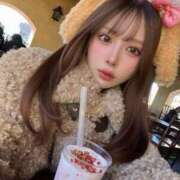 ヒメ日記 2026/01/30 21:25 投稿 りり コルドンブルー