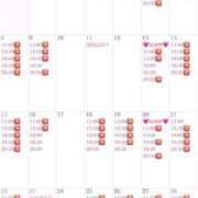 ヒメ日記 2026/02/01 16:25 投稿 りり コルドンブルー