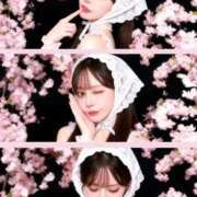 ヒメ日記 2026/03/24 11:15 投稿 りり コルドンブルー