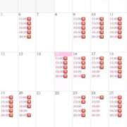 ヒメ日記 2026/04/15 10:37 投稿 りり コルドンブルー