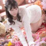 ヒメ日記 2026/01/19 21:49 投稿 華恋 夕月