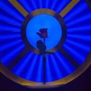 ヒメ日記 2025/11/14 05:23 投稿 せな ヒルズスパ　梅田＋